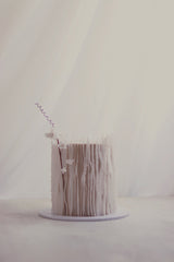 Enchanted Veil