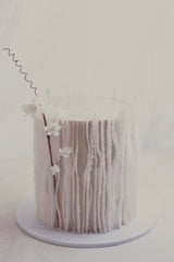 Enchanted Veil