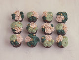 Sage & Bloom